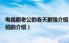 电视剧老公的春天剧情介绍（关于电视剧老公的春天剧情介绍的介绍）