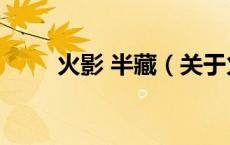 火影 半藏（关于火影 半藏的介绍）