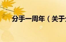 分手一周年（关于分手一周年的介绍）