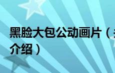 黑脸大包公动画片（关于黑脸大包公动画片的介绍）