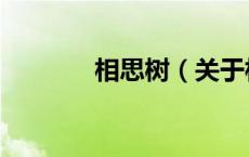 相思树（关于相思树的介绍）