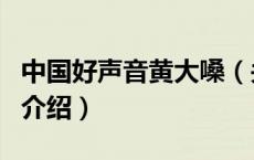 中国好声音黄大嗓（关于中国好声音黄大嗓的介绍）