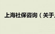 上海社保咨询（关于上海社保咨询的介绍）
