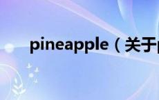 pineapple（关于pineapple的介绍）