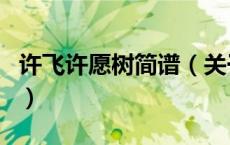 许飞许愿树简谱（关于许飞许愿树简谱的介绍）