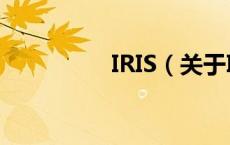 IRIS（关于IRIS的介绍）