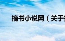 摘书小说网（关于摘书小说网的介绍）