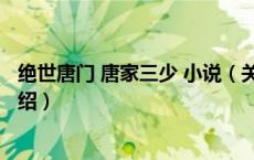 绝世唐门 唐家三少 小说（关于绝世唐门 唐家三少 小说的介绍）