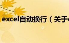 excel自动换行（关于excel自动换行的介绍）
