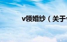 v领婚纱（关于v领婚纱的介绍）