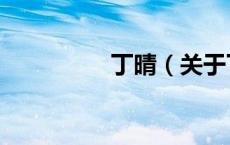 丁晴（关于丁晴的介绍）