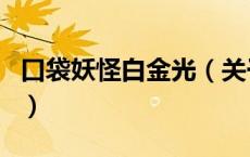 口袋妖怪白金光（关于口袋妖怪白金光的介绍）