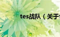 tes战队（关于tes战队的介绍）