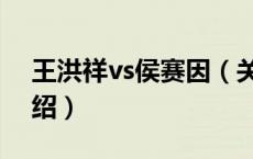 王洪祥vs侯赛因（关于王洪祥vs侯赛因的介绍）