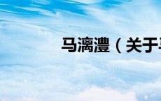 马漓澧（关于马漓澧的介绍）