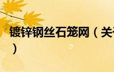 镀锌钢丝石笼网（关于镀锌钢丝石笼网的介绍）
