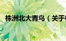 株洲北大青鸟（关于株洲北大青鸟的介绍）