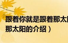 跟着你就是跟着那太阳（关于跟着你就是跟着那太阳的介绍）