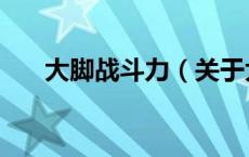 大脚战斗力（关于大脚战斗力的介绍）