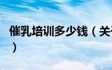 催乳培训多少钱（关于催乳培训多少钱的介绍）