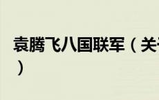 袁腾飞八国联军（关于袁腾飞八国联军的介绍）
