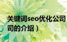 关键词seo优化公司（关于关键词seo优化公司的介绍）