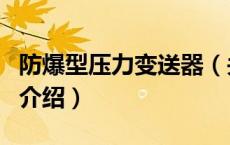 防爆型压力变送器（关于防爆型压力变送器的介绍）