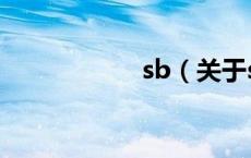 sb（关于sb的介绍）