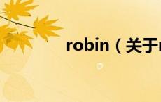 robin（关于robin的介绍）