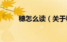 穗怎么读（关于穗怎么读的介绍）