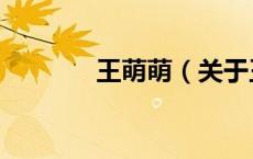 王萌萌（关于王萌萌的介绍）