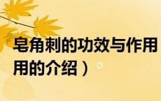 皂角刺的功效与作用（关于皂角刺的功效与作用的介绍）