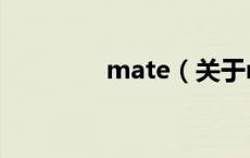 mate（关于mate的介绍）