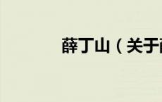 薛丁山（关于薛丁山的介绍）