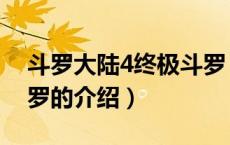 斗罗大陆4终极斗罗（关于斗罗大陆4终极斗罗的介绍）
