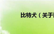比特犬（关于比特犬的介绍）