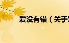 爱没有错（关于爱没有错的介绍）