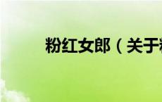 粉红女郎（关于粉红女郎的介绍）
