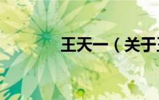 王天一（关于王天一的介绍）