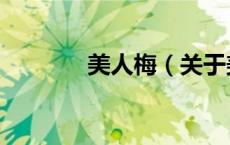 美人梅（关于美人梅的介绍）