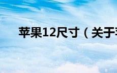苹果12尺寸（关于苹果12尺寸的介绍）