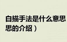 白描手法是什么意思（关于白描手法是什么意思的介绍）
