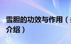 雪胆的功效与作用（关于雪胆的功效与作用的介绍）
