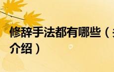 修辞手法都有哪些（关于修辞手法都有哪些的介绍）