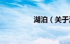 湖泊（关于湖泊的介绍）