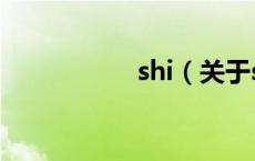shi（关于shi的介绍）