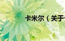 卡米尔（关于卡米尔的介绍）