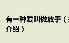 有一种爱叫做放手（关于有一种爱叫做放手的介绍）