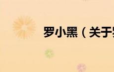 罗小黑（关于罗小黑的介绍）