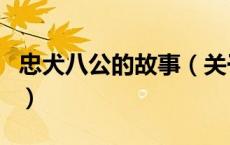 忠犬八公的故事（关于忠犬八公的故事的介绍）